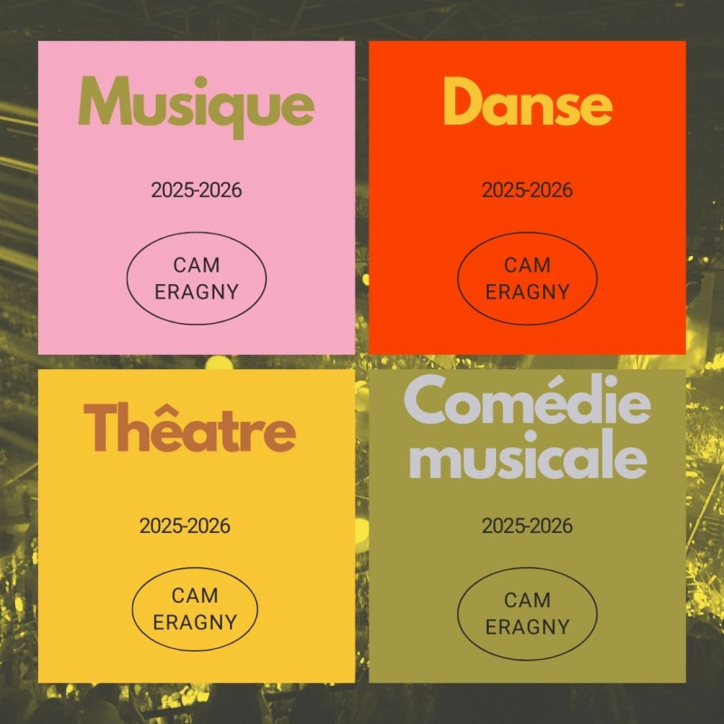 CAM_pratiques artistiques